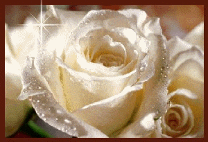 pour marion
